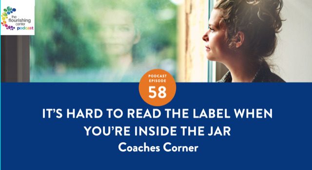 Ep 58: It's Hard to Read the Label When You're Inside the Jar on The Flourishing Center Podcast with Emiliya Zhivotovskaya